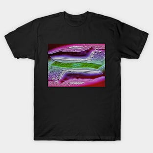 Sedimentary Rock Texture T-Shirt